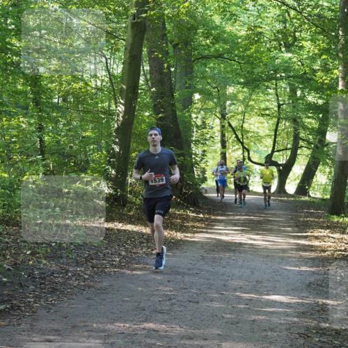 22.09.2024 - 32. Volkslauf durch das schöne Alstertal Miley Keyser http://msf.ph/oto/7137595 22.09.2024 10:19:06 Laufen  meine-sportfotos.de