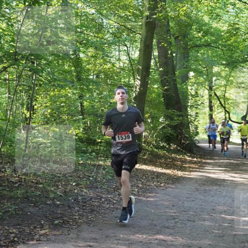 22.09.2024 - 32. Volkslauf durch das schöne Alstertal Miley Keyser http://msf.ph/oto/7137596 22.09.2024 10:19:06 Laufen 1539, 226 meine-sportfotos.de