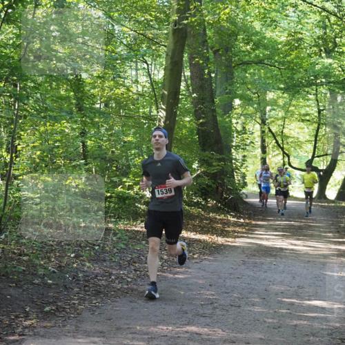 22.09.2024 - 32. Volkslauf durch das schöne Alstertal Miley Keyser http://msf.ph/oto/7137598 22.09.2024 10:19:06 Laufen 1539, 220 meine-sportfotos.de