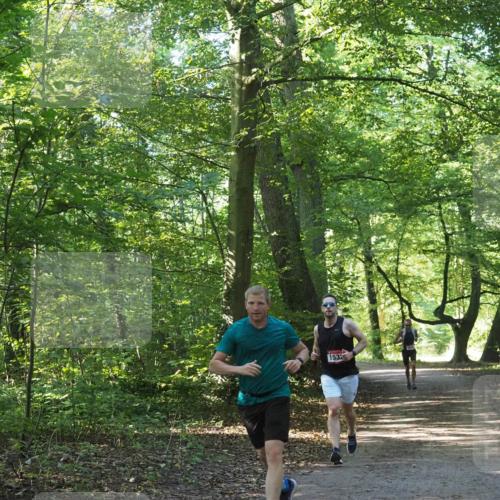 22.09.2024 - 32. Volkslauf durch das schöne Alstertal Miley Keyser http://msf.ph/oto/7137616 22.09.2024 10:18:46 Laufen 1532 meine-sportfotos.de