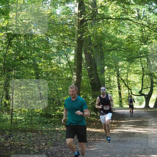 22.09.2024 - 32. Volkslauf durch das schöne Alstertal Miley Keyser http://msf.ph/oto/7137619 22.09.2024 10:18:46 Laufen 1532 meine-sportfotos.de