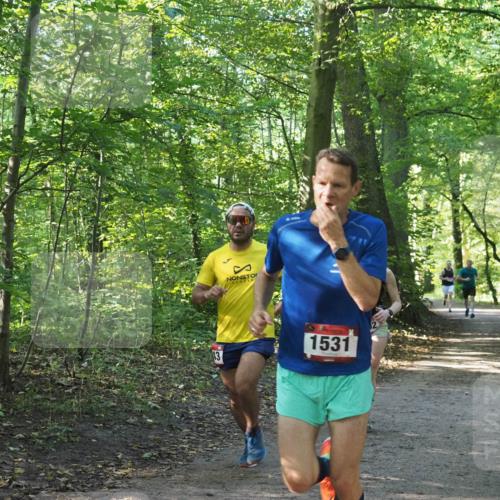 22.09.2024 - 32. Volkslauf durch das schöne Alstertal Miley Keyser http://msf.ph/oto/7137632 22.09.2024 10:18:38 Laufen 43, 1531 meine-sportfotos.de