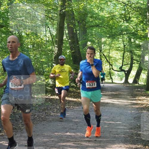 22.09.2024 - 32. Volkslauf durch das schöne Alstertal Miley Keyser http://msf.ph/oto/7137633 22.09.2024 10:18:37 Laufen 150, 1531 meine-sportfotos.de