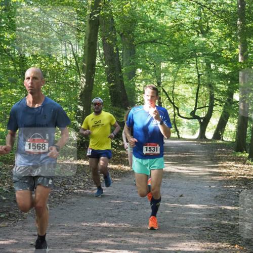 22.09.2024 - 32. Volkslauf durch das schöne Alstertal Miley Keyser http://msf.ph/oto/7137634 22.09.2024 10:18:37 Laufen 1568, 1531 meine-sportfotos.de