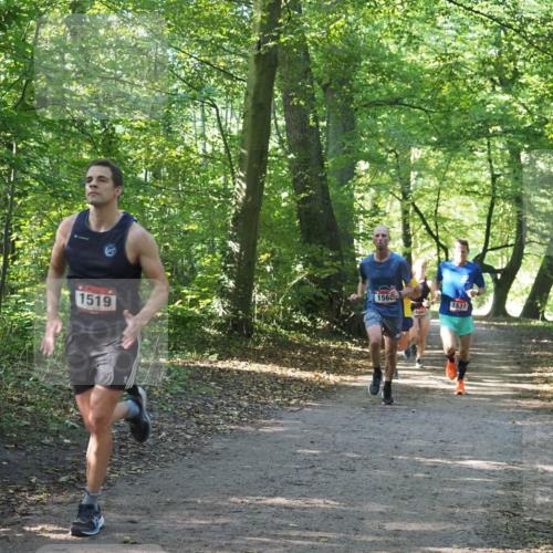 22.09.2024 - 32. Volkslauf durch das schöne Alstertal Miley Keyser http://msf.ph/oto/7137638 22.09.2024 10:18:35 Laufen 1519, 156, 1002, 1531 meine-sportfotos.de