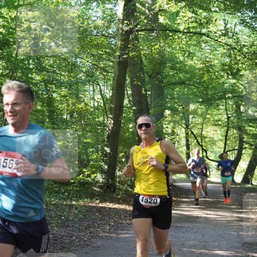 22.09.2024 - 32. Volkslauf durch das schöne Alstertal Miley Keyser http://msf.ph/oto/7137642 22.09.2024 10:18:33 Laufen 1562, 1520, 1568 meine-sportfotos.de