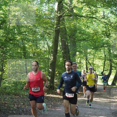 22.09.2024 - 32. Volkslauf durch das schöne Alstertal Miley Keyser http://msf.ph/oto/7137645 22.09.2024 10:18:32 Laufen 1540, 1516, 1531, 1520 meine-sportfotos.de