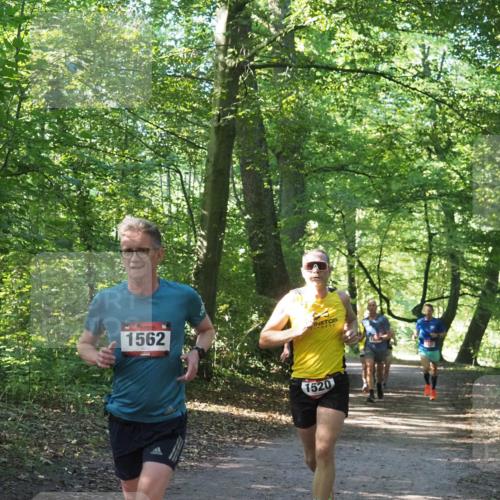 22.09.2024 - 32. Volkslauf durch das schöne Alstertal Miley Keyser http://msf.ph/oto/7137646 22.09.2024 10:18:33 Laufen 1562, 1520 meine-sportfotos.de