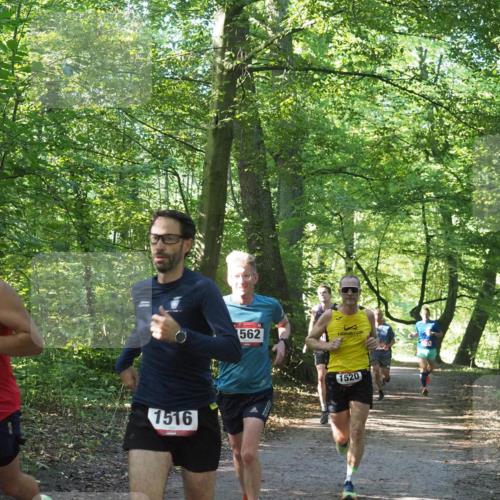 22.09.2024 - 32. Volkslauf durch das schöne Alstertal Miley Keyser http://msf.ph/oto/7137647 22.09.2024 10:18:32 Laufen 1540, 1516, 562, 1520 meine-sportfotos.de