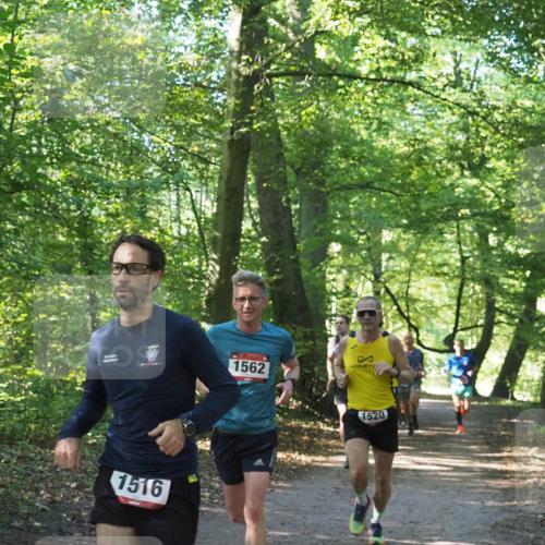 22.09.2024 - 32. Volkslauf durch das schöne Alstertal Miley Keyser http://msf.ph/oto/7137648 22.09.2024 10:18:33 Laufen 1516, 1562, 1520 meine-sportfotos.de