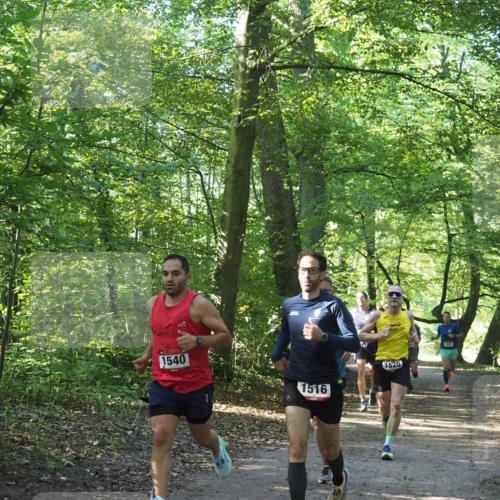 22.09.2024 - 32. Volkslauf durch das schöne Alstertal Miley Keyser http://msf.ph/oto/7137650 22.09.2024 10:18:32 Laufen 1540, 1516, 1520, 1831 meine-sportfotos.de