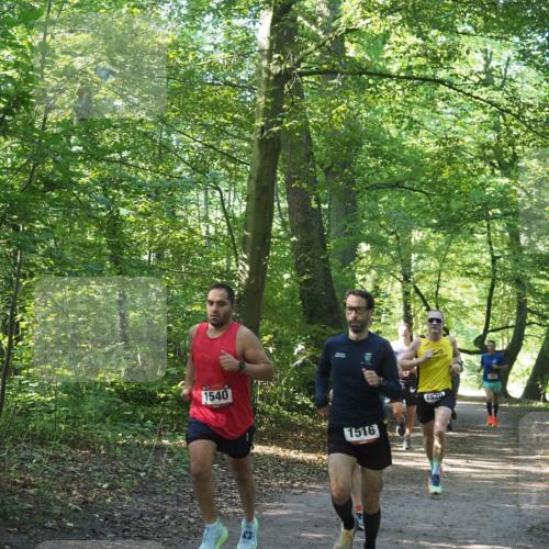 22.09.2024 - 32. Volkslauf durch das schöne Alstertal Miley Keyser http://msf.ph/oto/7137651 22.09.2024 10:18:32 Laufen 1540, 1516, 1520 meine-sportfotos.de