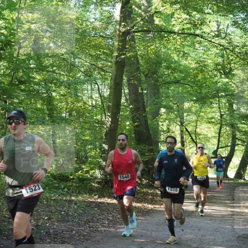 22.09.2024 - 32. Volkslauf durch das schöne Alstertal Miley Keyser http://msf.ph/oto/7137653 22.09.2024 10:18:31 Laufen 1523, 1540, 1516, 1520 meine-sportfotos.de