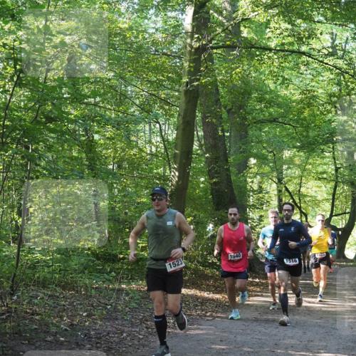 22.09.2024 - 32. Volkslauf durch das schöne Alstertal Miley Keyser http://msf.ph/oto/7137655 22.09.2024 10:18:30 Laufen 1523, 1540, 1516, 1520 meine-sportfotos.de