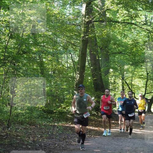 22.09.2024 - 32. Volkslauf durch das schöne Alstertal Miley Keyser http://msf.ph/oto/7137657 22.09.2024 10:18:30 Laufen 1523, 1540, 156, 1516, 1520 meine-sportfotos.de