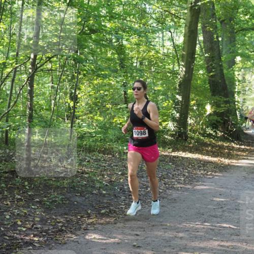 22.09.2024 - 32. Volkslauf durch das schöne Alstertal Miley Keyser http://msf.ph/oto/7137673 22.09.2024 10:18:22 Laufen 1098, 1761 meine-sportfotos.de
