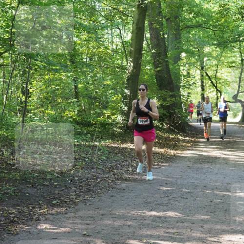 22.09.2024 - 32. Volkslauf durch das schöne Alstertal Miley Keyser http://msf.ph/oto/7137675 22.09.2024 10:18:21 Laufen 1098, 1761 meine-sportfotos.de