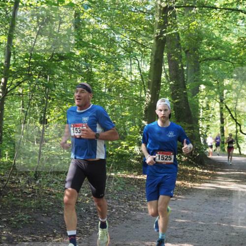 22.09.2024 - 32. Volkslauf durch das schöne Alstertal Miley Keyser http://msf.ph/oto/7137679 22.09.2024 10:18:15 Laufen 153, 1525 meine-sportfotos.de