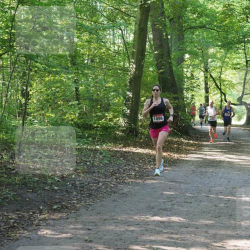 22.09.2024 - 32. Volkslauf durch das schöne Alstertal Miley Keyser http://msf.ph/oto/7137680 22.09.2024 10:18:21 Laufen 1098, 1761, 1530 meine-sportfotos.de