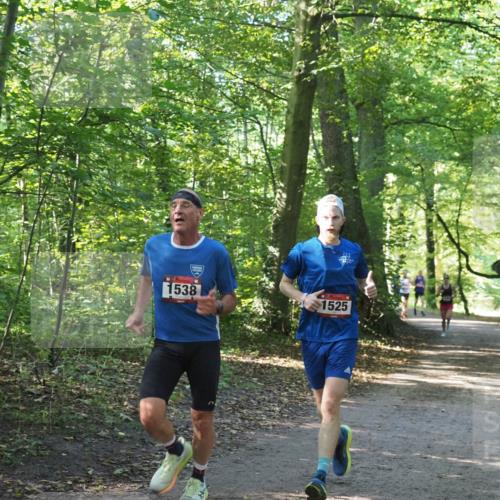 22.09.2024 - 32. Volkslauf durch das schöne Alstertal Miley Keyser http://msf.ph/oto/7137681 22.09.2024 10:18:15 Laufen 1538, 1525 meine-sportfotos.de