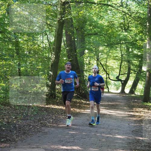22.09.2024 - 32. Volkslauf durch das schöne Alstertal Miley Keyser http://msf.ph/oto/7137687 22.09.2024 10:18:14 Laufen 1538, 1525 meine-sportfotos.de