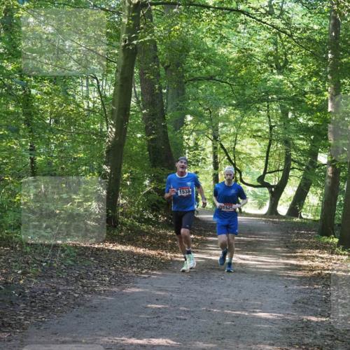 22.09.2024 - 32. Volkslauf durch das schöne Alstertal Miley Keyser http://msf.ph/oto/7137689 22.09.2024 10:18:13 Laufen 1538, 1525 meine-sportfotos.de
