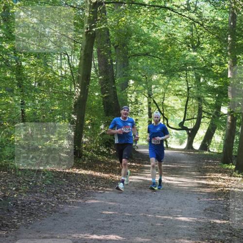 22.09.2024 - 32. Volkslauf durch das schöne Alstertal Miley Keyser http://msf.ph/oto/7137690 22.09.2024 10:18:14 Laufen 1538, 1525 meine-sportfotos.de