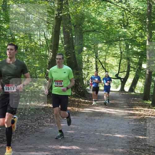 22.09.2024 - 32. Volkslauf durch das schöne Alstertal Miley Keyser http://msf.ph/oto/7137693 22.09.2024 10:18:12 Laufen 1517, 1518, 153, 1525 meine-sportfotos.de