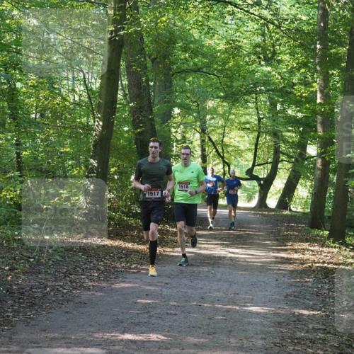 22.09.2024 - 32. Volkslauf durch das schöne Alstertal Miley Keyser http://msf.ph/oto/7137697 22.09.2024 10:18:10 Laufen 1517, 1518, 1525 meine-sportfotos.de