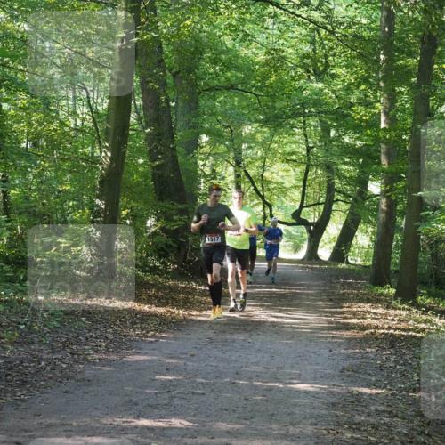 22.09.2024 - 32. Volkslauf durch das schöne Alstertal Miley Keyser http://msf.ph/oto/7137699 22.09.2024 10:18:09 Laufen 1517 meine-sportfotos.de