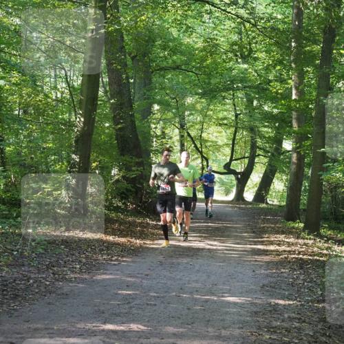 22.09.2024 - 32. Volkslauf durch das schöne Alstertal Miley Keyser http://msf.ph/oto/7137700 22.09.2024 10:18:09 Laufen 518 meine-sportfotos.de