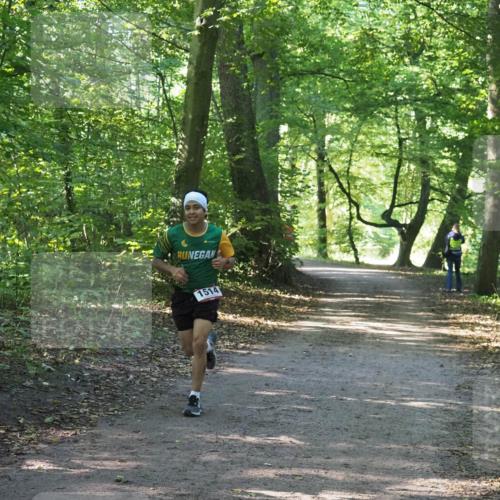 22.09.2024 - 32. Volkslauf durch das schöne Alstertal Miley Keyser http://msf.ph/oto/7137707 22.09.2024 10:17:37 Laufen 1514 meine-sportfotos.de
