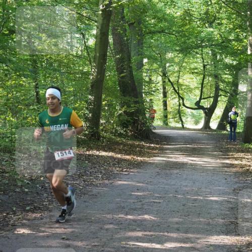 22.09.2024 - 32. Volkslauf durch das schöne Alstertal Miley Keyser http://msf.ph/oto/7137708 22.09.2024 10:17:38 Laufen 1514 meine-sportfotos.de