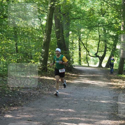 22.09.2024 - 32. Volkslauf durch das schöne Alstertal Miley Keyser http://msf.ph/oto/7137710 22.09.2024 10:17:37 Laufen 1514 meine-sportfotos.de