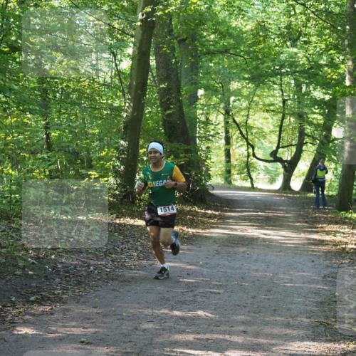 22.09.2024 - 32. Volkslauf durch das schöne Alstertal Miley Keyser http://msf.ph/oto/7137711 22.09.2024 10:17:37 Laufen 1514 meine-sportfotos.de