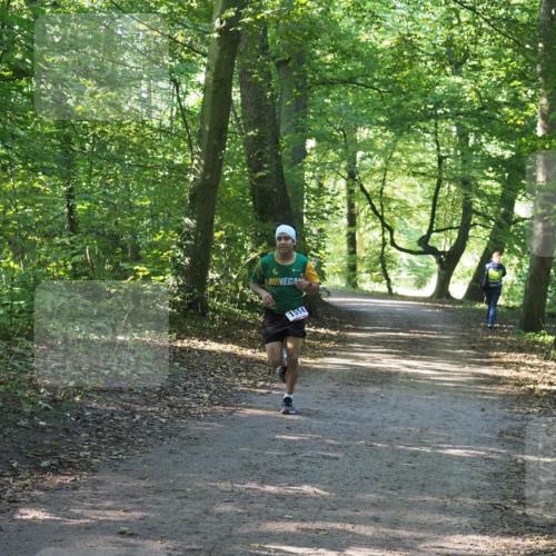 22.09.2024 - 32. Volkslauf durch das schöne Alstertal Miley Keyser http://msf.ph/oto/7137712 22.09.2024 10:17:37 Laufen 1514 meine-sportfotos.de