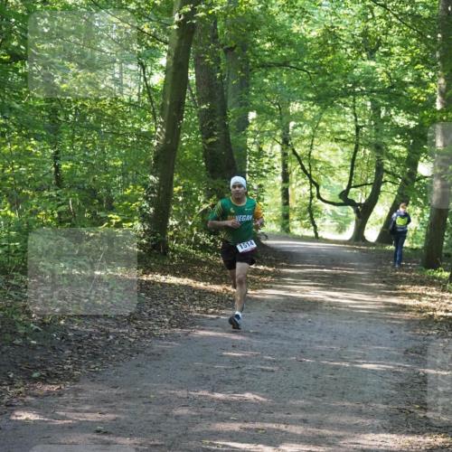 22.09.2024 - 32. Volkslauf durch das schöne Alstertal Miley Keyser http://msf.ph/oto/7137713 22.09.2024 10:17:37 Laufen 1514 meine-sportfotos.de