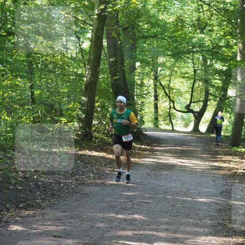 22.09.2024 - 32. Volkslauf durch das schöne Alstertal Miley Keyser http://msf.ph/oto/7137714 22.09.2024 10:17:37 Laufen 1514 meine-sportfotos.de