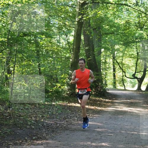 22.09.2024 - 32. Volkslauf durch das schöne Alstertal Miley Keyser http://msf.ph/oto/7137715 22.09.2024 10:17:25 Laufen 1515 meine-sportfotos.de