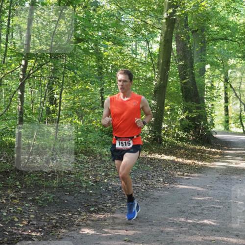 22.09.2024 - 32. Volkslauf durch das schöne Alstertal Miley Keyser http://msf.ph/oto/7137716 22.09.2024 10:17:26 Laufen 1515 meine-sportfotos.de