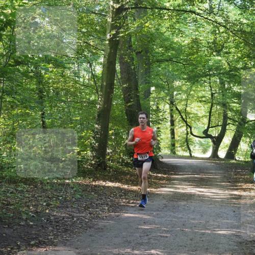22.09.2024 - 32. Volkslauf durch das schöne Alstertal Miley Keyser http://msf.ph/oto/7137718 22.09.2024 10:17:24 Laufen 1515 meine-sportfotos.de