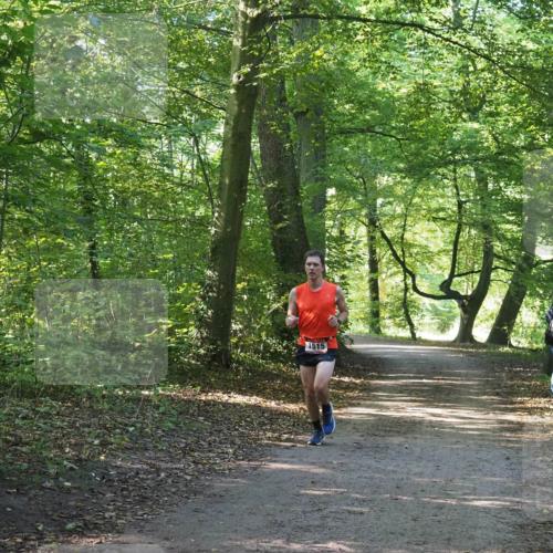 22.09.2024 - 32. Volkslauf durch das schöne Alstertal Miley Keyser http://msf.ph/oto/7137720 22.09.2024 10:17:24 Laufen 1515 meine-sportfotos.de