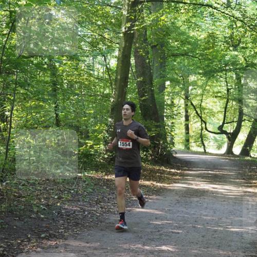 22.09.2024 - 32. Volkslauf durch das schöne Alstertal Miley Keyser http://msf.ph/oto/7137724 22.09.2024 10:17:14 Laufen 1554 meine-sportfotos.de