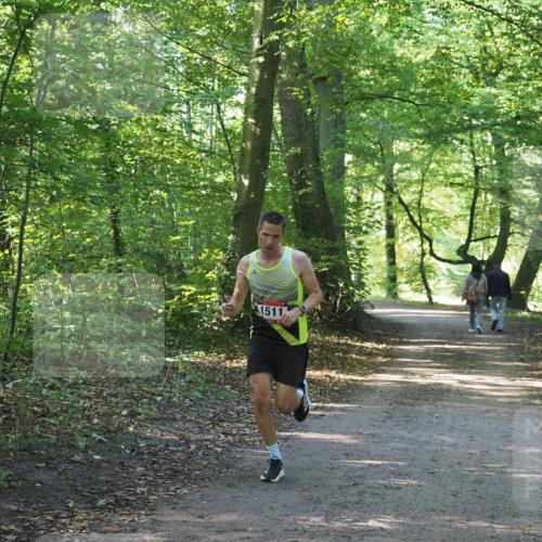 22.09.2024 - 32. Volkslauf durch das schöne Alstertal Miley Keyser http://msf.ph/oto/7137730 22.09.2024 10:16:36 Laufen 1511 meine-sportfotos.de