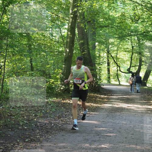 22.09.2024 - 32. Volkslauf durch das schöne Alstertal Miley Keyser http://msf.ph/oto/7137731 22.09.2024 10:16:36 Laufen 1511 meine-sportfotos.de