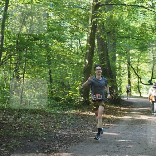 22.09.2024 - 32. Volkslauf durch das schöne Alstertal Miley Keyser http://msf.ph/oto/7137739 22.09.2024 10:16:27 Laufen 4156 meine-sportfotos.de