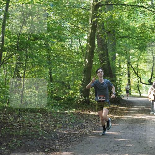 22.09.2024 - 32. Volkslauf durch das schöne Alstertal Miley Keyser http://msf.ph/oto/7137743 22.09.2024 10:16:27 Laufen 4156 meine-sportfotos.de