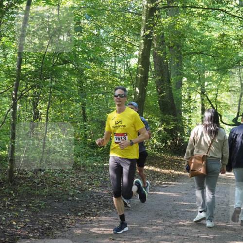 22.09.2024 - 32. Volkslauf durch das schöne Alstertal Miley Keyser http://msf.ph/oto/7137748 22.09.2024 10:16:19 Laufen 1513 meine-sportfotos.de