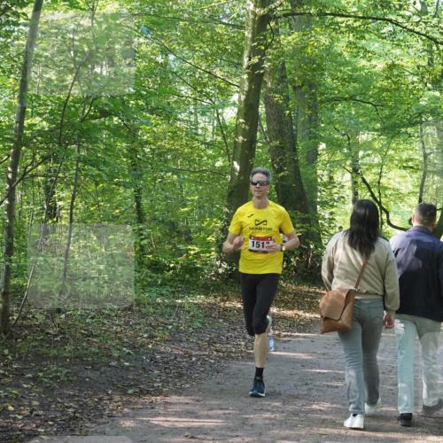 22.09.2024 - 32. Volkslauf durch das schöne Alstertal Miley Keyser http://msf.ph/oto/7137750 22.09.2024 10:16:18 Laufen 1512 meine-sportfotos.de
