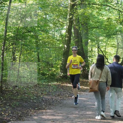 22.09.2024 - 32. Volkslauf durch das schöne Alstertal Miley Keyser http://msf.ph/oto/7137751 22.09.2024 10:16:18 Laufen 1513 meine-sportfotos.de